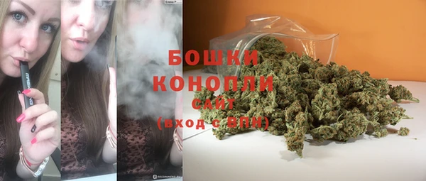 PSILOCYBIN Киренск