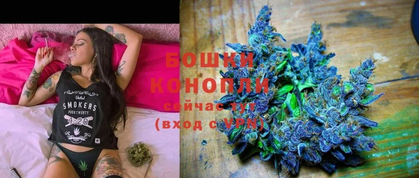 PSILOCYBIN Киренск