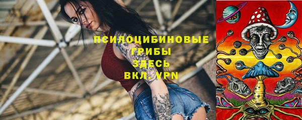 PSILOCYBIN Киренск