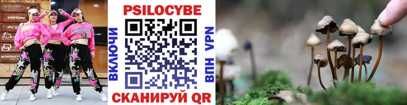 Купить где  Ленинск  Галлюциногенные грибы ЛСД 